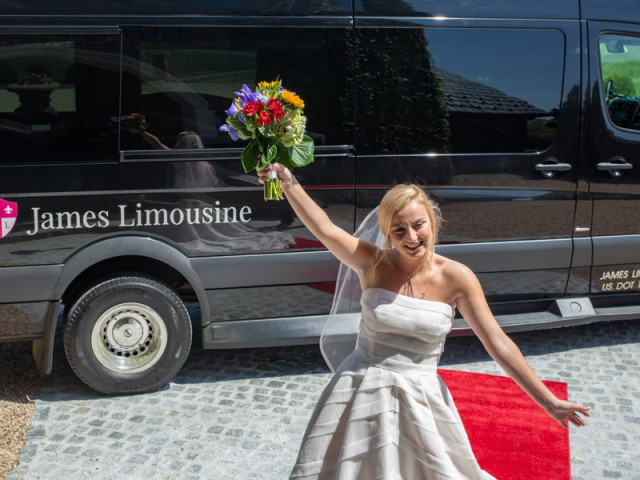 Sprinter Van (Mercedes Benz Limo) 5