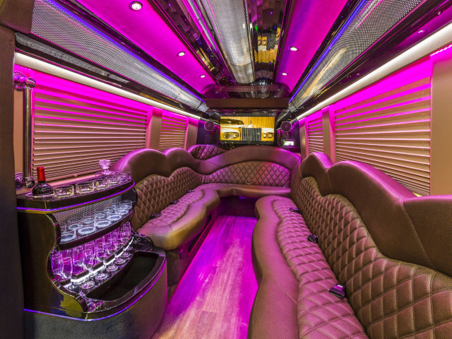 James Limousine Sprinter Limo 3