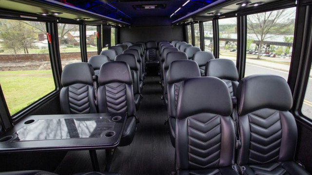 Executive Mini Coach (White) 3